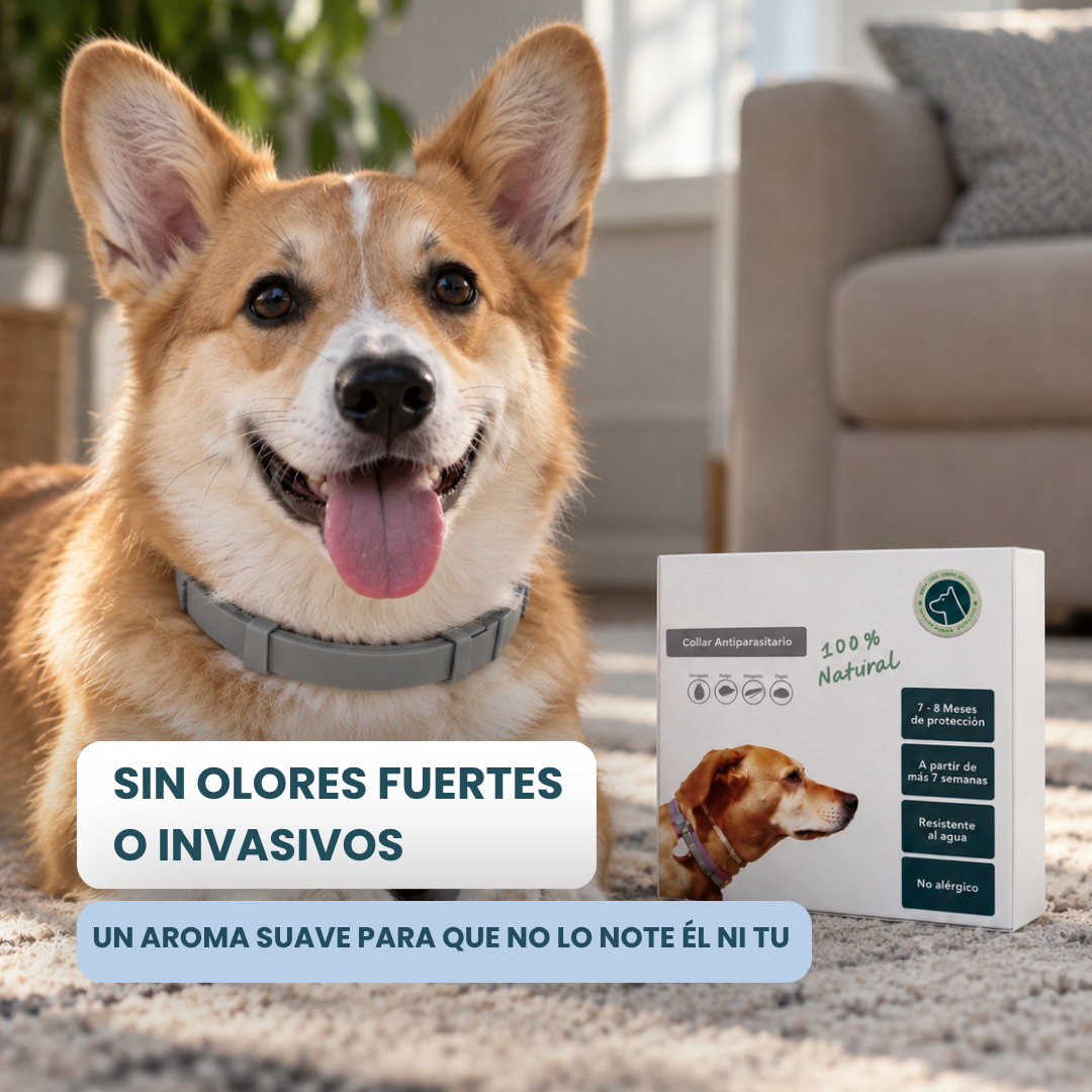 Collar Antiparasitario 100% Natural