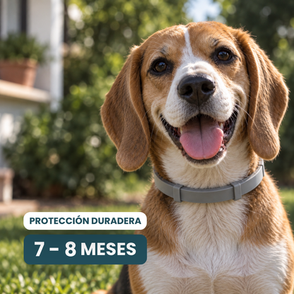 Collar Antiparasitario 100% Natural