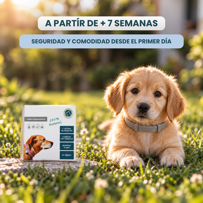 Collar Antiparasitario 100% Natural