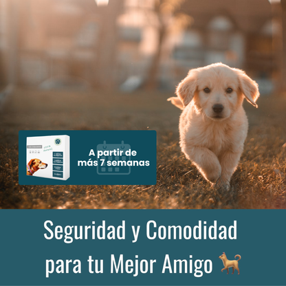 Collar Antiparasitario 100% Natural