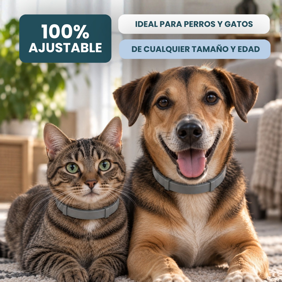 Collar Antiparasitario 100% Natural