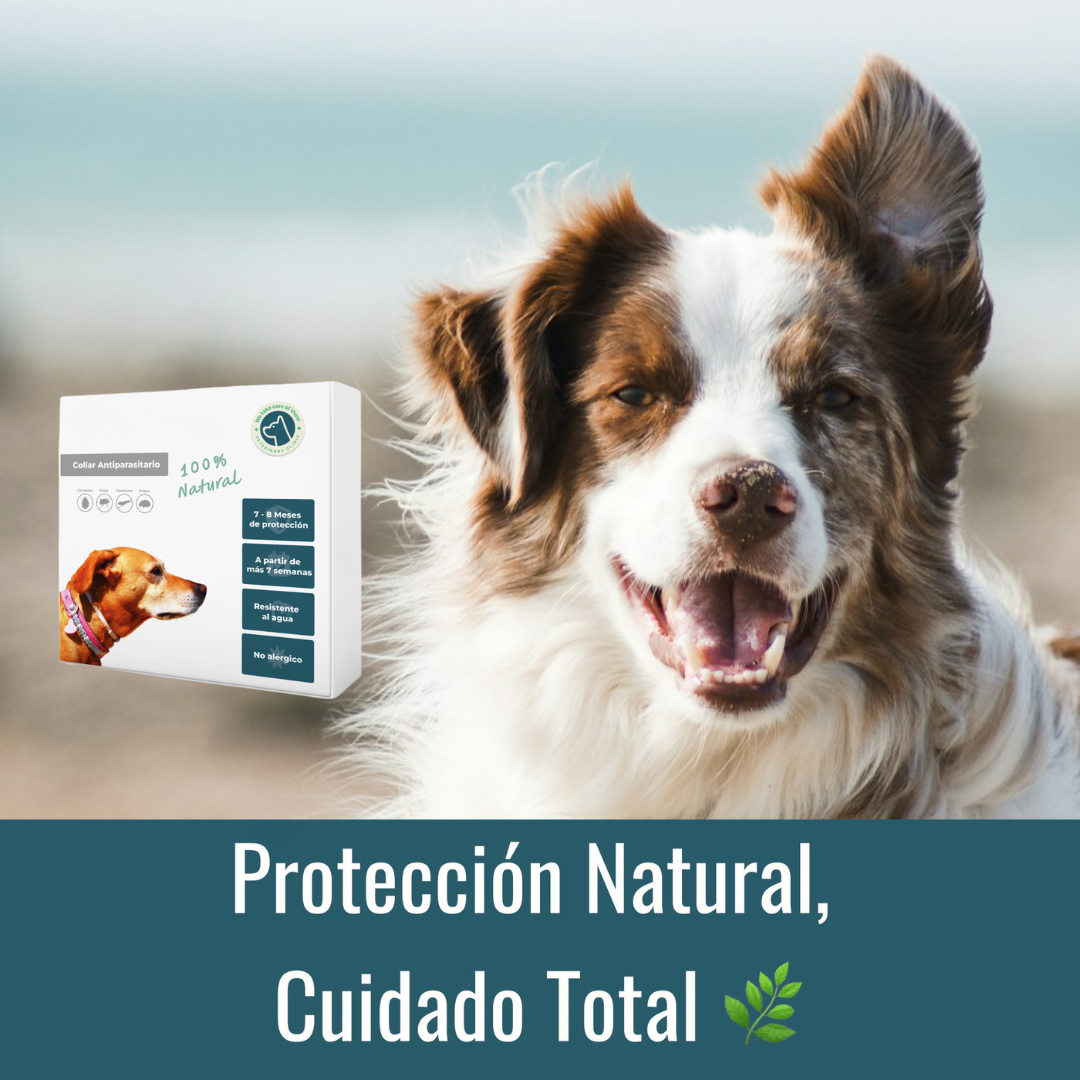 Collar Antiparasitario 100% Natural