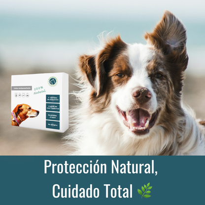 Collar Antiparasitario 100% Natural