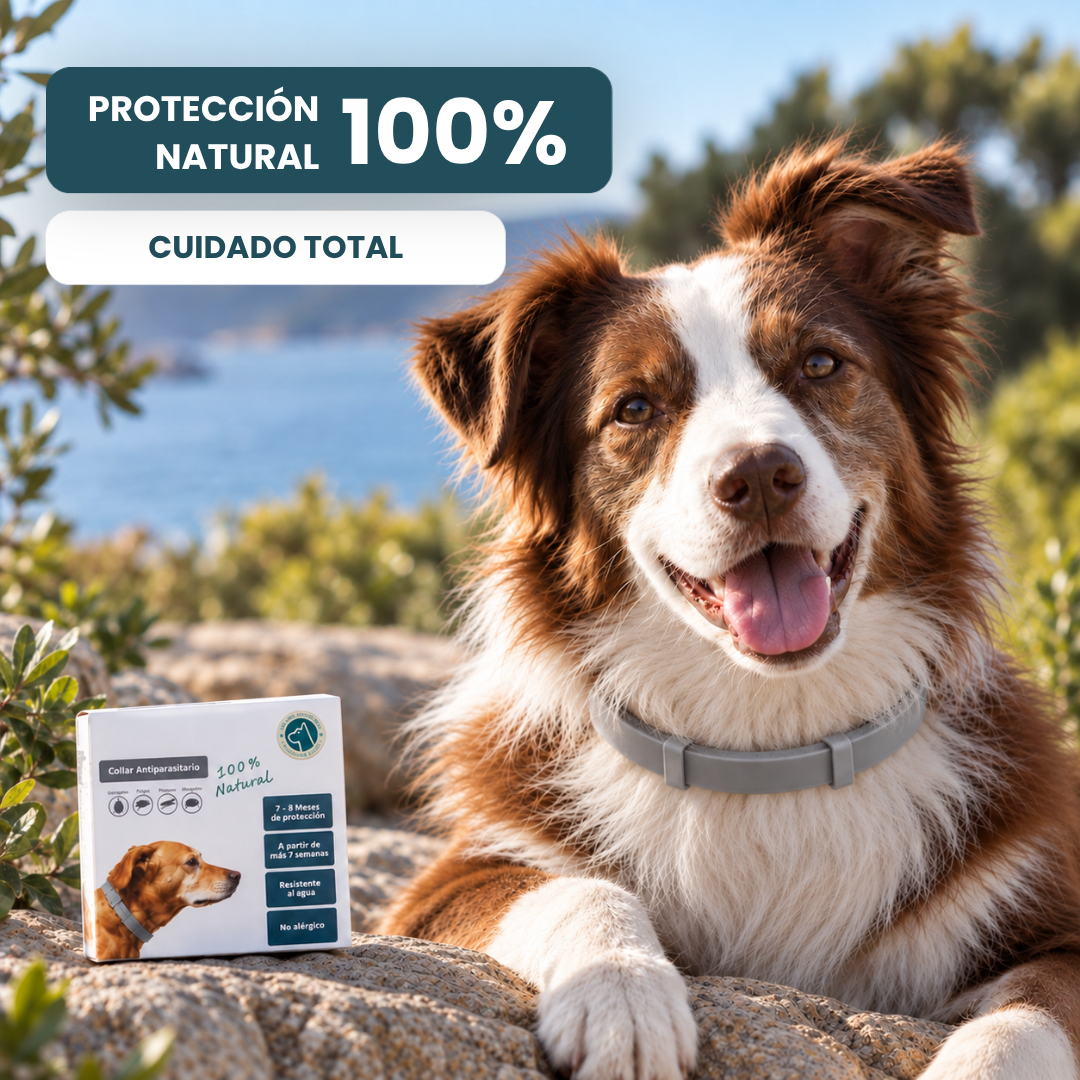 Collar Antiparasitario 100% Natural