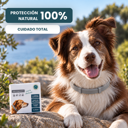 Collar Antiparasitario 100% Natural