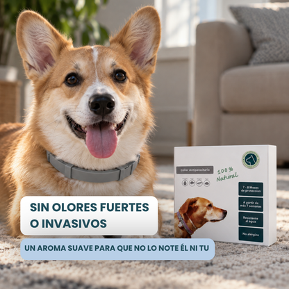 Collar Antiparasitario 100% Natural