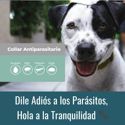 Collar Antiparasitario 100% Natural