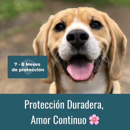Collar Antiparasitario 100% Natural