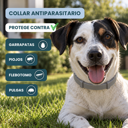 Collar Antiparasitario 100% Natural