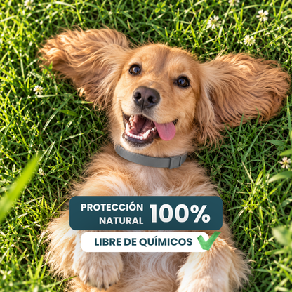 Collar Antiparasitario 100% Natural