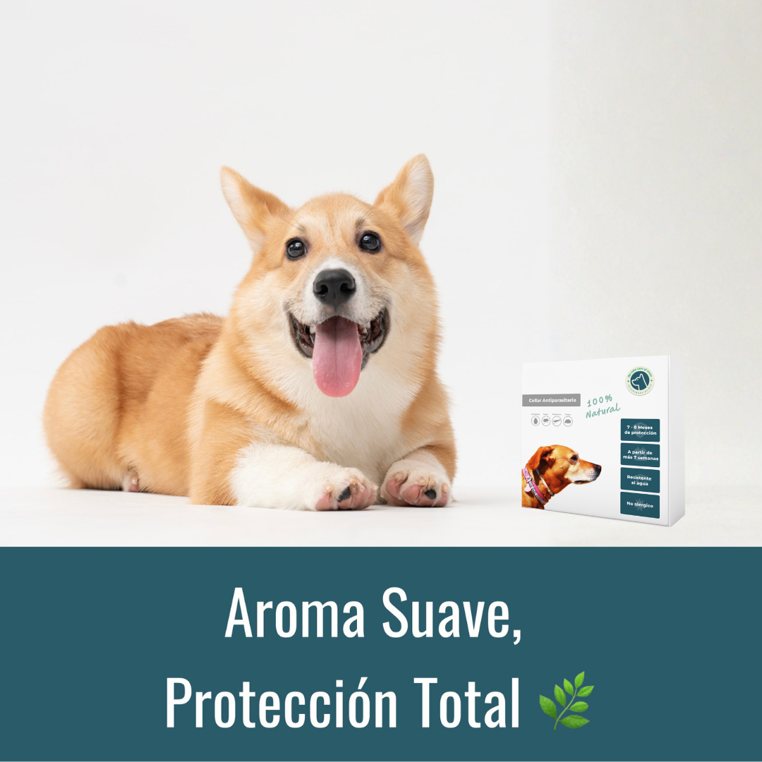 Collar Antiparasitario 100% Natural