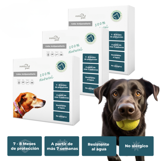 Collar Antiparasitario 100% Natural